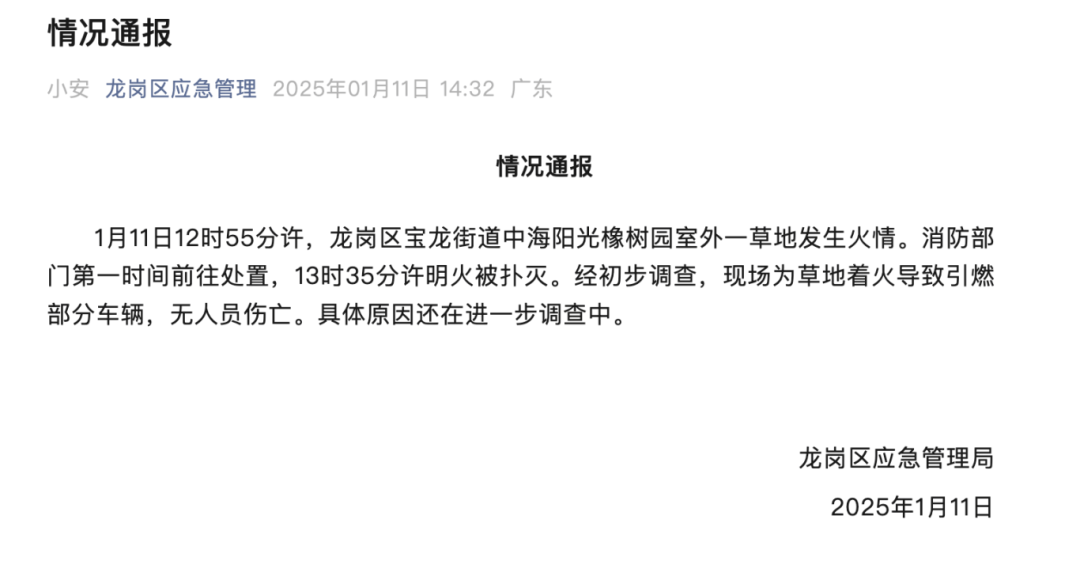 黑煙滾滾！十幾輛汽車被燒！深圳官方通報(bào)