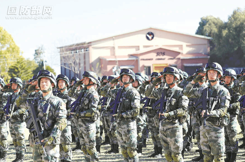 金燦榮：電詐集團太猖狂！必要時派解放軍消滅！