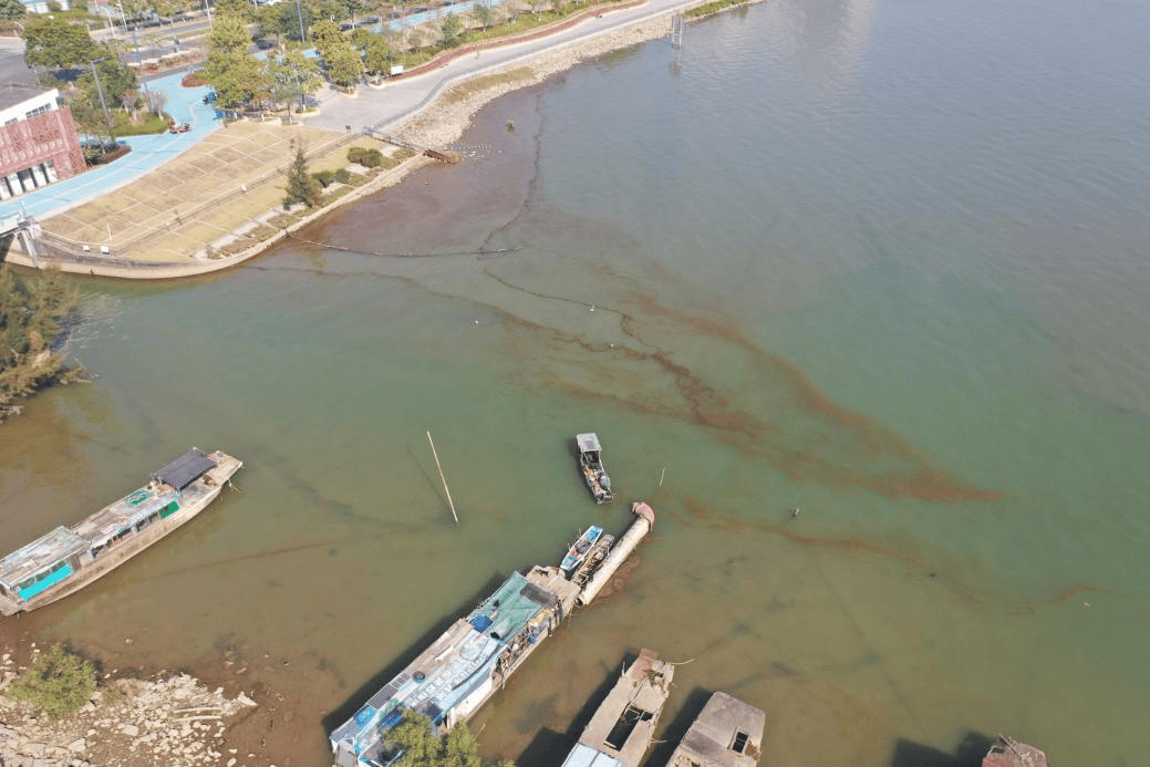 海邊密集出現(xiàn)“爆爆珠”？廣州、深圳等多地發(fā)布提醒