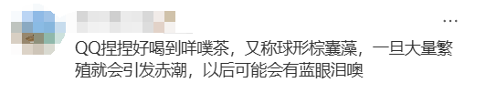 海邊密集出現(xiàn)“爆爆珠”？廣州、深圳等多地發(fā)布提醒